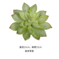 XU0611964
